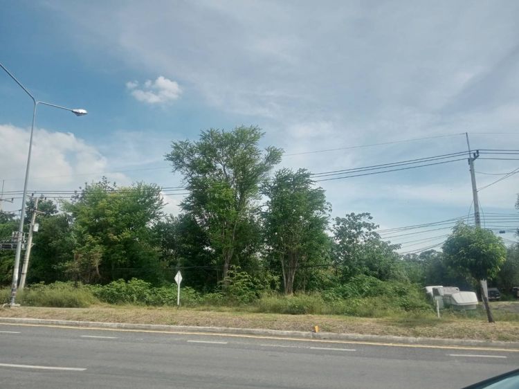 ขายที่ดิน 4 ไร่ ทำเลศักยภาพ หน้าโรงพยาบาล