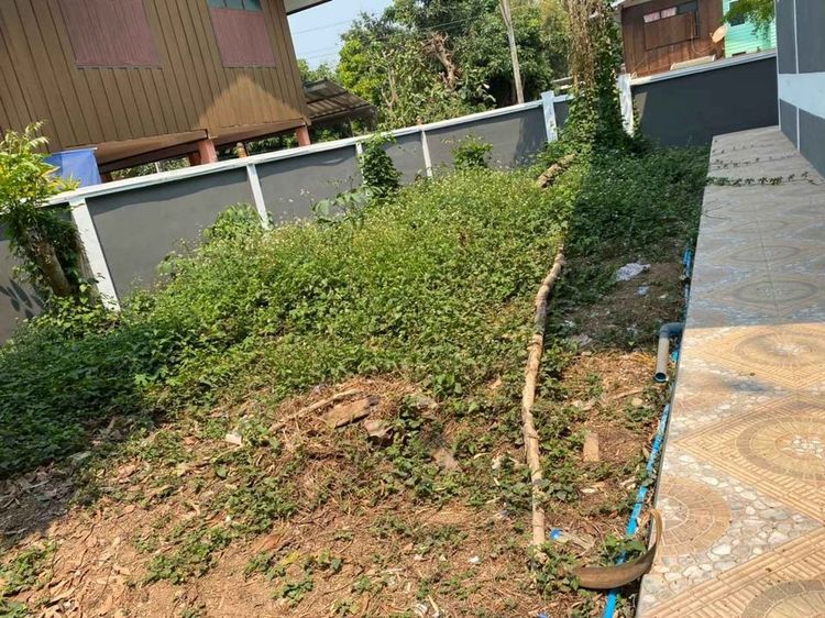 ไม่มี 2013 บ้านเดี่ยว  รูปที่ 4