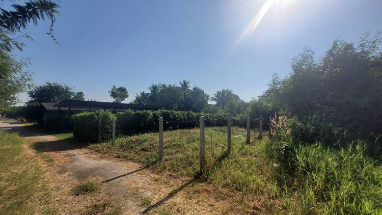 ขายที่ดินราคาถูก เหมาะสำหรับทำการเกษตร ทำฟาร์ม หรือซื้อเก็บ รูปที่ 3