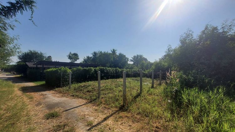 ขายที่ดินราคาถูก เหมาะสำหรับทำการเกษตร ทำฟาร์ม หรือซื้อเก็บ รูปที่ 2