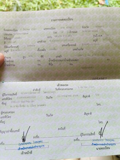 ฟีลาโน่ รูปที่ 9