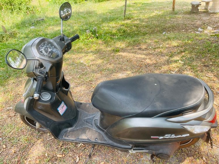 ฟีลาโน่ รูปที่ 3