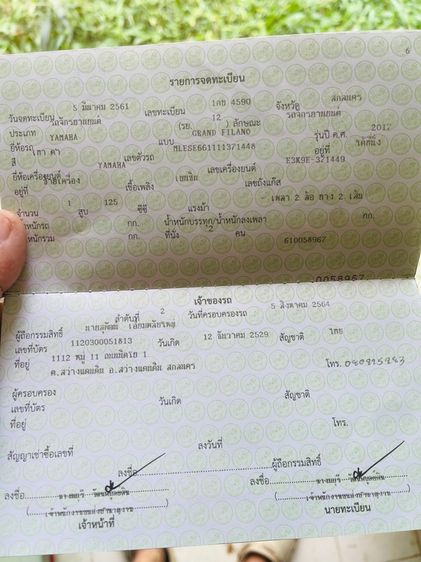 ฟีลาโน่ รูปที่ 7