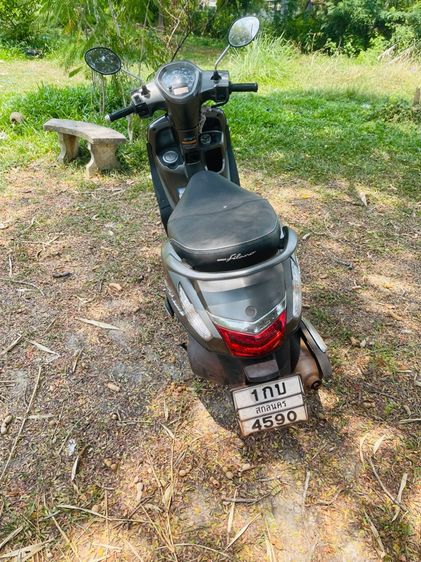 ฟีลาโน่ รูปที่ 4