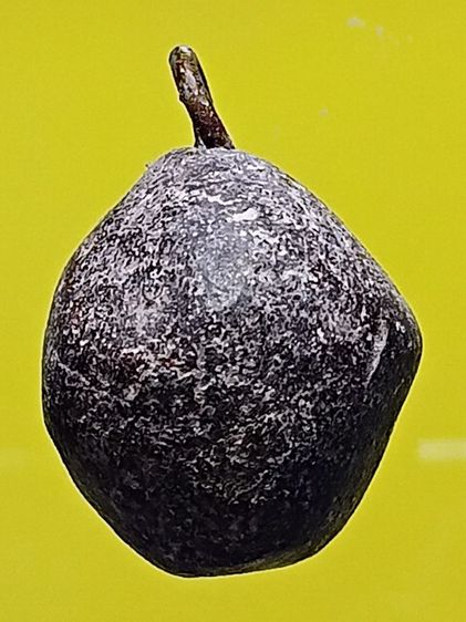 ลูกสะกด หลวงพ่อไล้ วัดเขายี่สาร รุ่นเเรก จ.สมุทรสงคราม สภาพสวยมาก ไม่ผ่านการใช้ พบน้อย หาชมยาก น่าใช้มากครับ รูปที่ 10