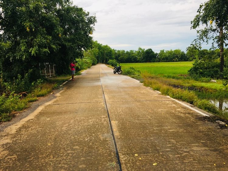 ที่ดิน 19ไร่ใกล้ตลาดระแหงร้อยปี อำเภอลาดหลุมแก้ว ปทุมธานี