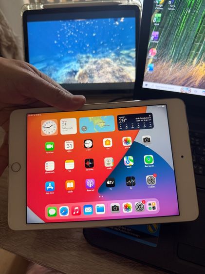 Apple 64 GB iPad mini4 64GB Wifi