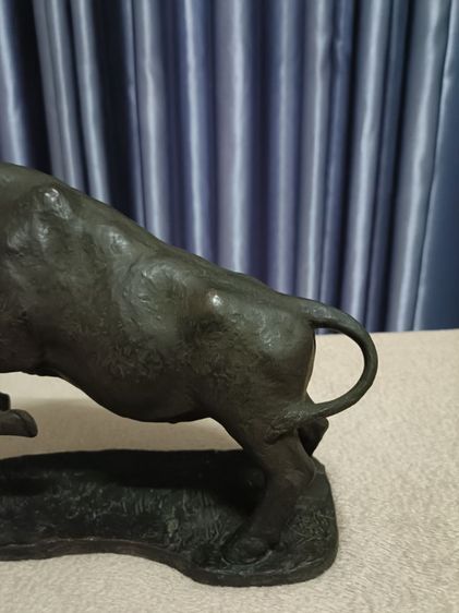 กระทิงยกขาคู่ รูปที่ 6