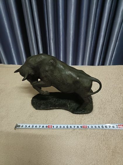 กระทิงยกขาคู่ รูปที่ 8