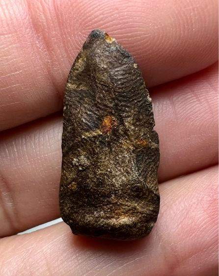 พระรอด วัดมหาวัน พิมพ์ใหญ่  รูปที่ 13