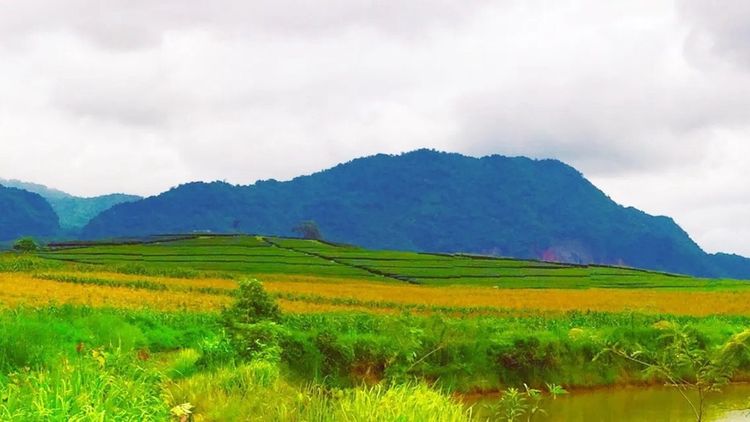 ขายที่ดินพรีเมียมติด Singha Park เชียงราย  14 ไร่  วิวภูเขาพาโนรามา รูปที่ 2