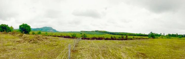 ขายที่ดินพรีเมียมติด Singha Park เชียงราย  14 ไร่  วิวภูเขาพาโนรามา รูปที่ 3