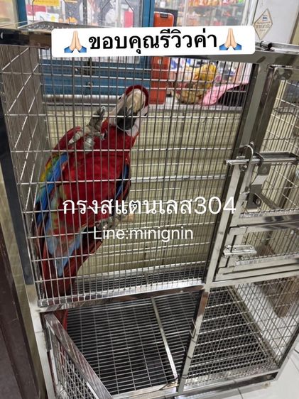 กรงสแตนเลส304 สั่งทำทุกใบ  รูปที่ 3