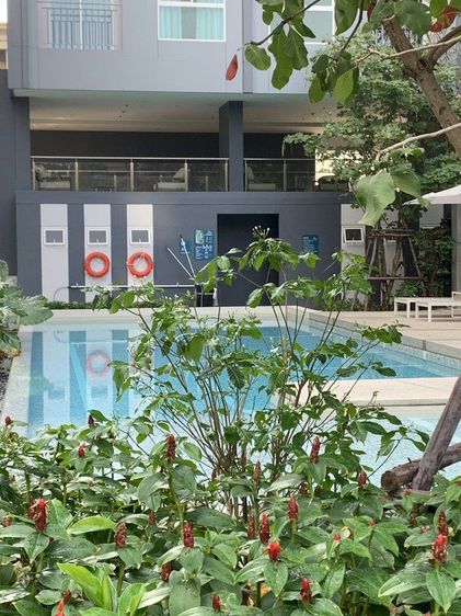 ตกแต่งครบ LPN Development 2024 ให้เช่าคอนโดใหม่ชั้น6 ห้องมุมวิวสวน  ลุมพินี วิลล์ จรัญสนิทวงศ์ ไฟฉาย พร้อมเฟอร์นิเจอร์ ค่าเช่า8000 ต่อเดือนล่วงหน้า2เดือน ติดถนน รถไฟฟ้า รูปที่ 4