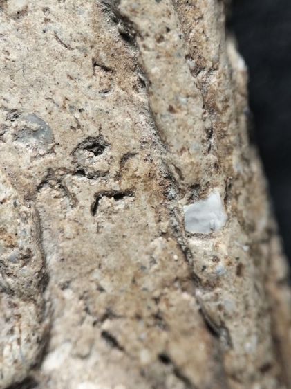 พระสมเด็จสภาพเก็บเก่าสมบูรณ์ครับ รูปที่ 13