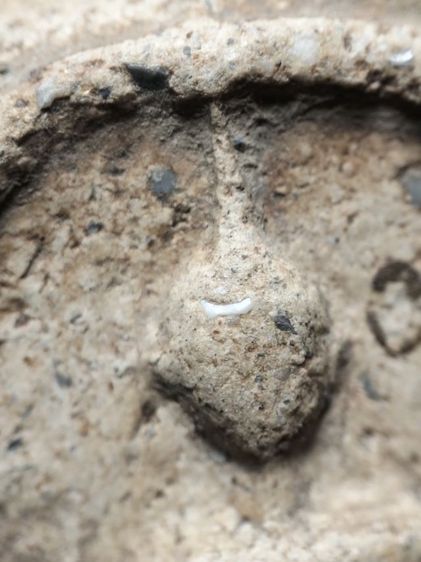 พระสมเด็จสภาพเก็บเก่าสมบูรณ์ครับ รูปที่ 2