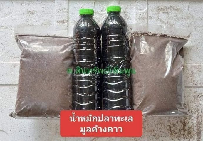 น้ำหมักปลาทะเลกับมูลค้างคาว