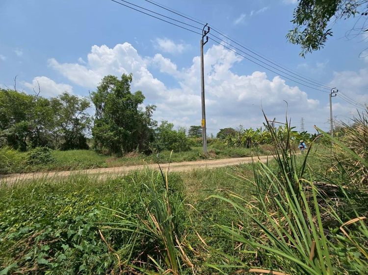 ขายที่ดิน 87 ตรว ติดถนนสาธารณะ แปลงมุม ประชาสำราญ แขวงคลองสิบสอง เขตหนองจอก กทม. 