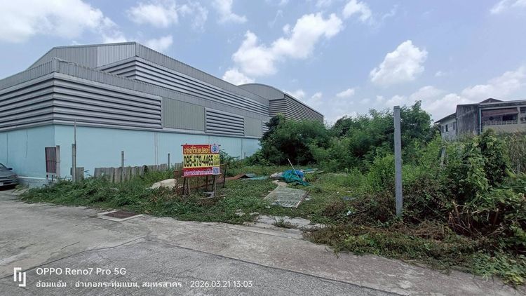 ขายที่ดินผังสีม่วง 94 ตรว ติดถนนสาธารณะ ถมแล้ว ซอยนวนทอง 9 ต.อ้อมน้อย อ.กระทุมแบน จ.สมุทรสาคร รูปที่ 3