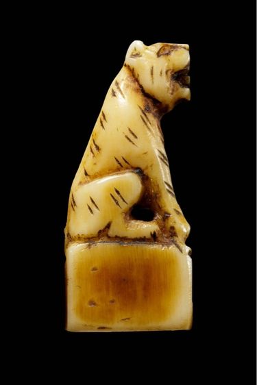 เสือเเกะ รูปที่ 2