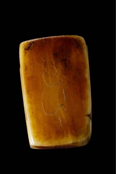 เสือเเกะ รูปที่ 4