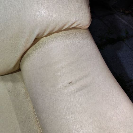 โซฟา รูปที่ 7