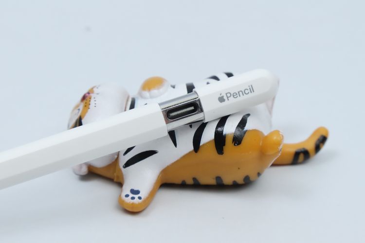 Apple Pencil USB-C - ID26030561 รูปที่ 6