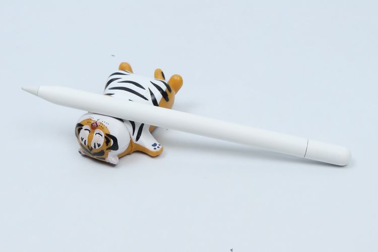 Apple Pencil USB-C - ID26030561 รูปที่ 3