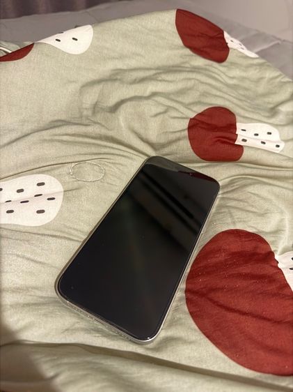 512 GB iPhone 16 Pro Max 512GB