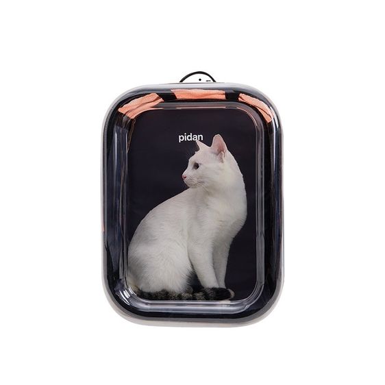 Pidan Pet Carry Bag  รูปที่ 3