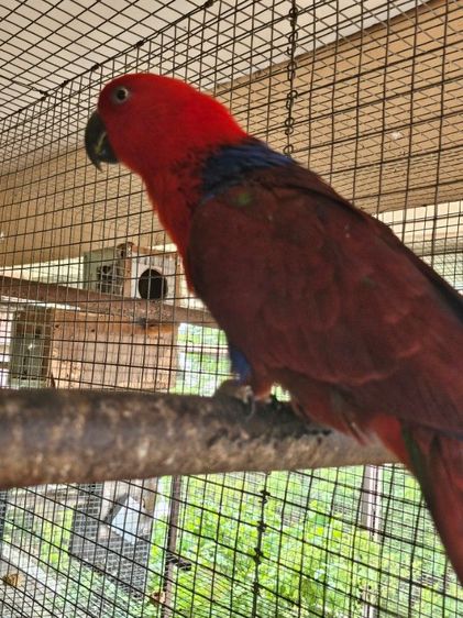 อิเลคตัส พร้อมทำ  ดอนเมือง 0815818535 รูปที่ 5