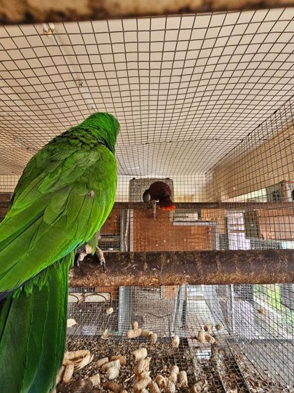 อิเลคตัส พร้อมทำ  ดอนเมือง 0815818535 รูปที่ 9