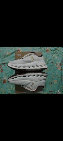 รองเท้าผ้าใบ รูปที่ 5