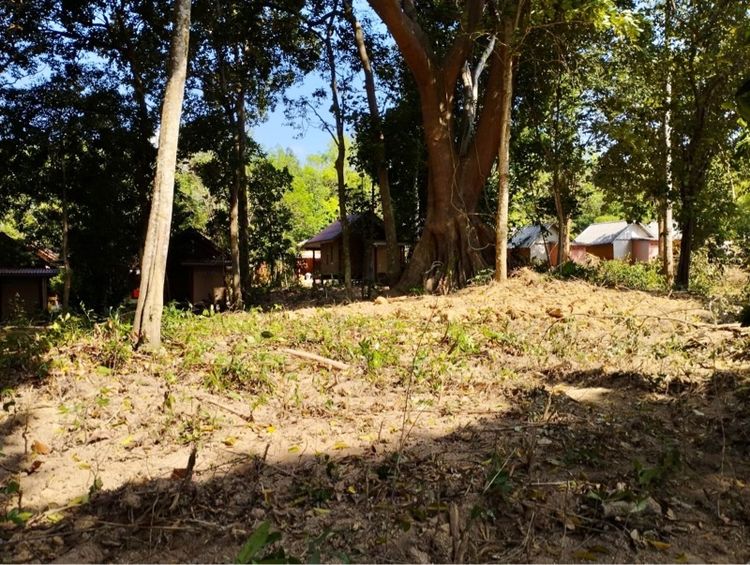 ไม่ใช่ ที่ดินเกาะปู กระบี่ รูปที่ 4
