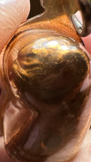 ปล่อยพระค่ะ รูปที่ 5