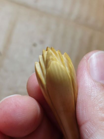 เครื่องรางดอกจำปีหลวงพ่อสดวัดปากน้ำดอกใหญ่ รูปที่ 3