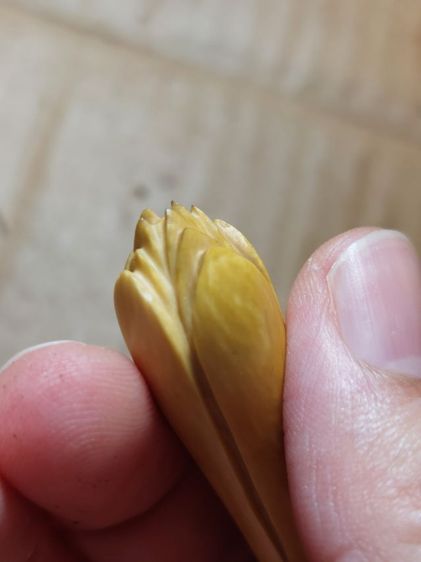 เครื่องรางดอกจำปีหลวงพ่อสดวัดปากน้ำดอกใหญ่ รูปที่ 7