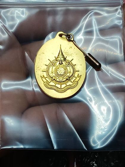 เหรียญ 6 รอบ พ่อ ร9 รูปที่ 3