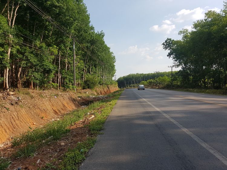 ขายที่ดิน12 ไร่ สวนยางพารา หน้ากว้างติดถนน (เจ้าของขายเอง) รูปที่ 2