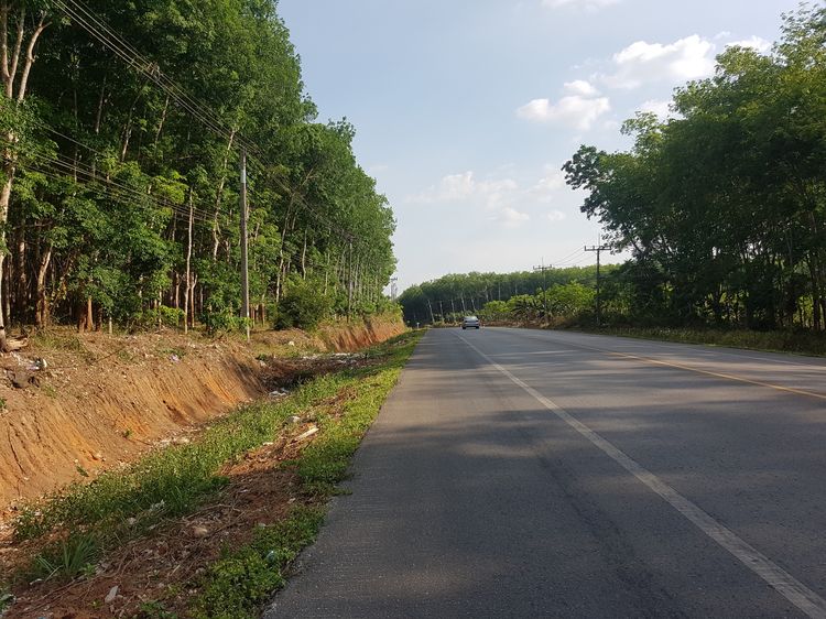 ขายที่ดิน12 ไร่ สวนยางพารา หน้ากว้างติดถนน (เจ้าของขายเอง) รูปที่ 3