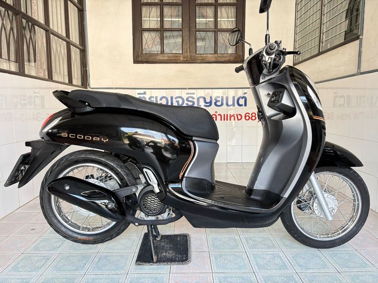 Honda Scoopy  2 คัน เริ่มต้น 36900.- รูปที่ 3