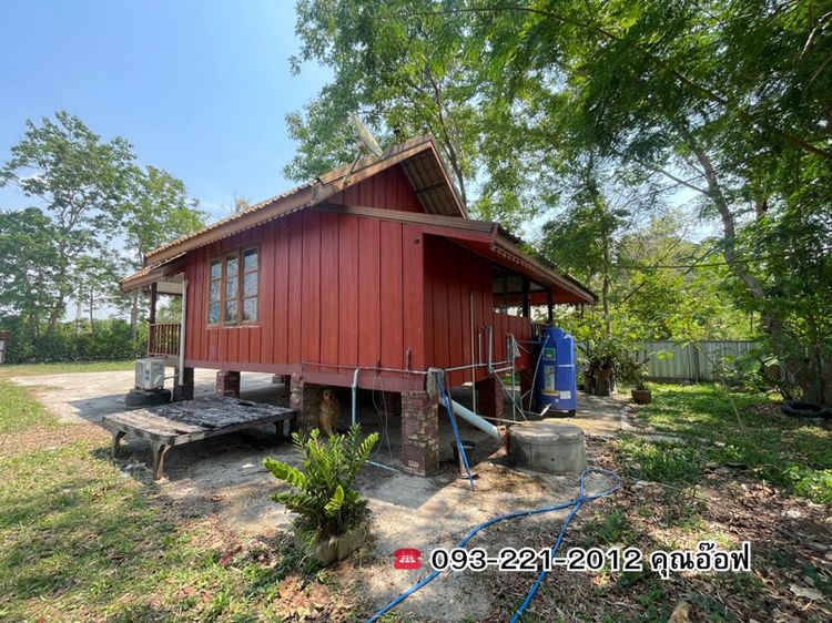 ไม่มี บ้านนาทราย เมืองอุดร รูปที่ 3