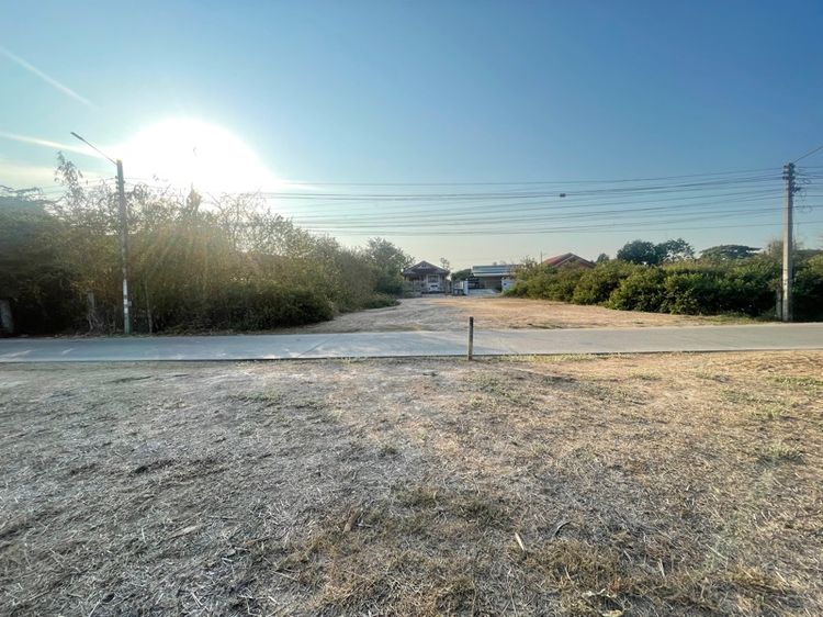 ไม่ใช่ ที่ดินถมแล้วให้เช่า รูปที่ 2