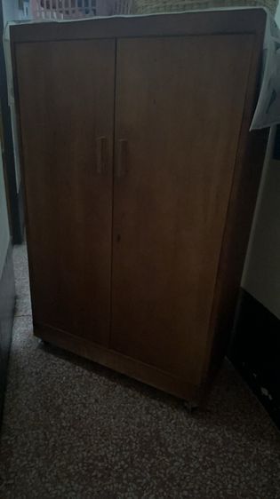 ไม้สัก รูปที่ 3