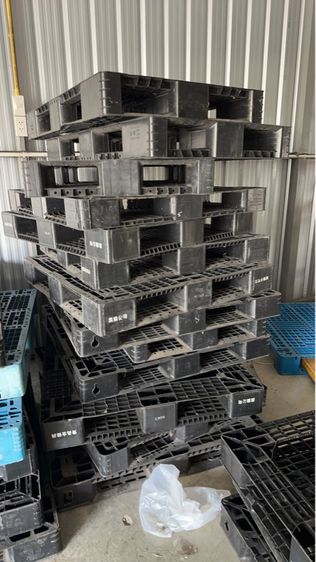 พาเลท พลาสติก