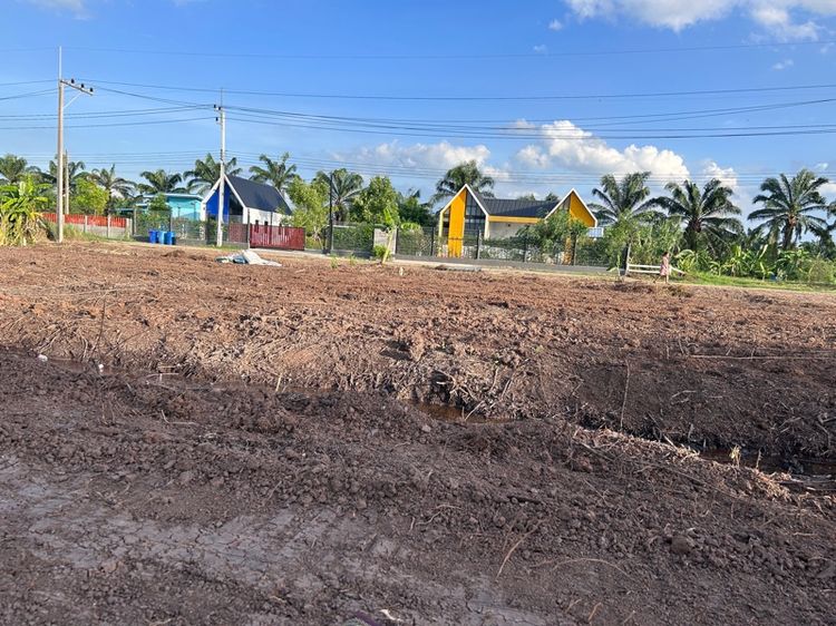 ที่สวยทำเลดี เหมาะกับการทำบ้านสวน บ้านพักตากอากาศ โกดังเก็บสินค้า  รูปที่ 4