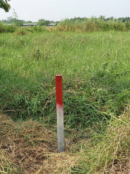 ขายที่ดิน1ไร่ คลอง13ปทุมธานี รูปที่ 2