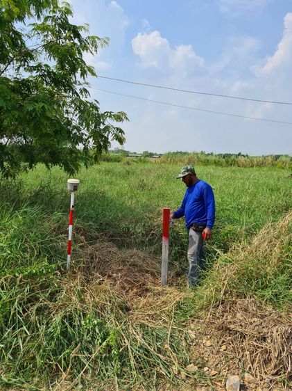 ขายที่ดิน1ไร่ คลอง13ปทุมธานี รูปที่ 4