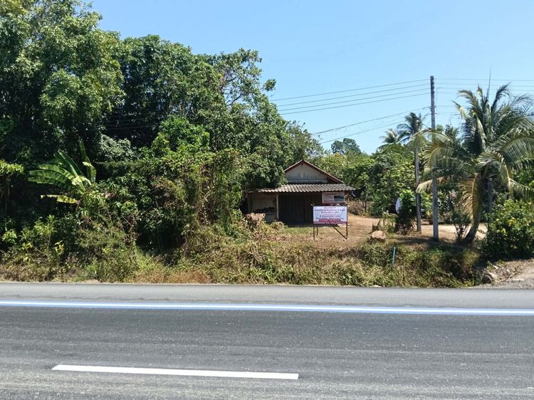 อื่นๆ ขายบ้าน2หลังและที่ดิน อ.นาโยง จ.ตรัง รูปที่ 3