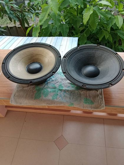 ดอกลำโพง Foster 15 นิ้ว รูปที่ 2